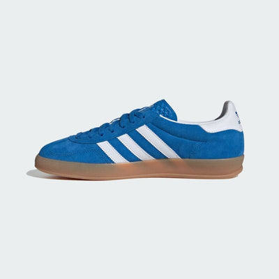 Ad Gazelle Indoor - Blue Bird/Cloud White/Gum