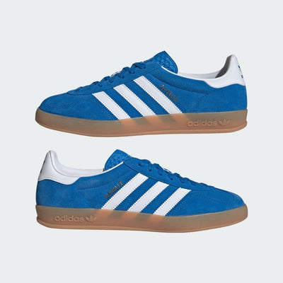 Ad Gazelle Indoor - Blue Bird/Cloud White/Gum