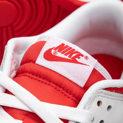 NK Dunk Low Championship Red
