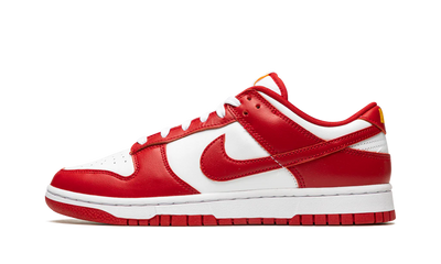 NK Dunk Low USC