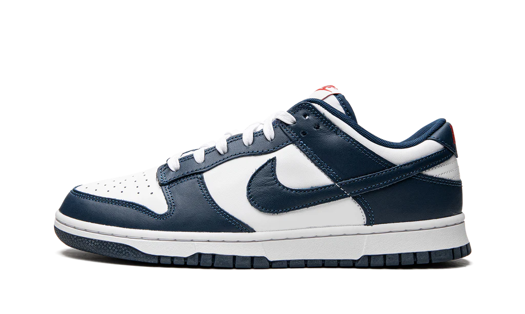 NK Dunk Low Valerian Blue