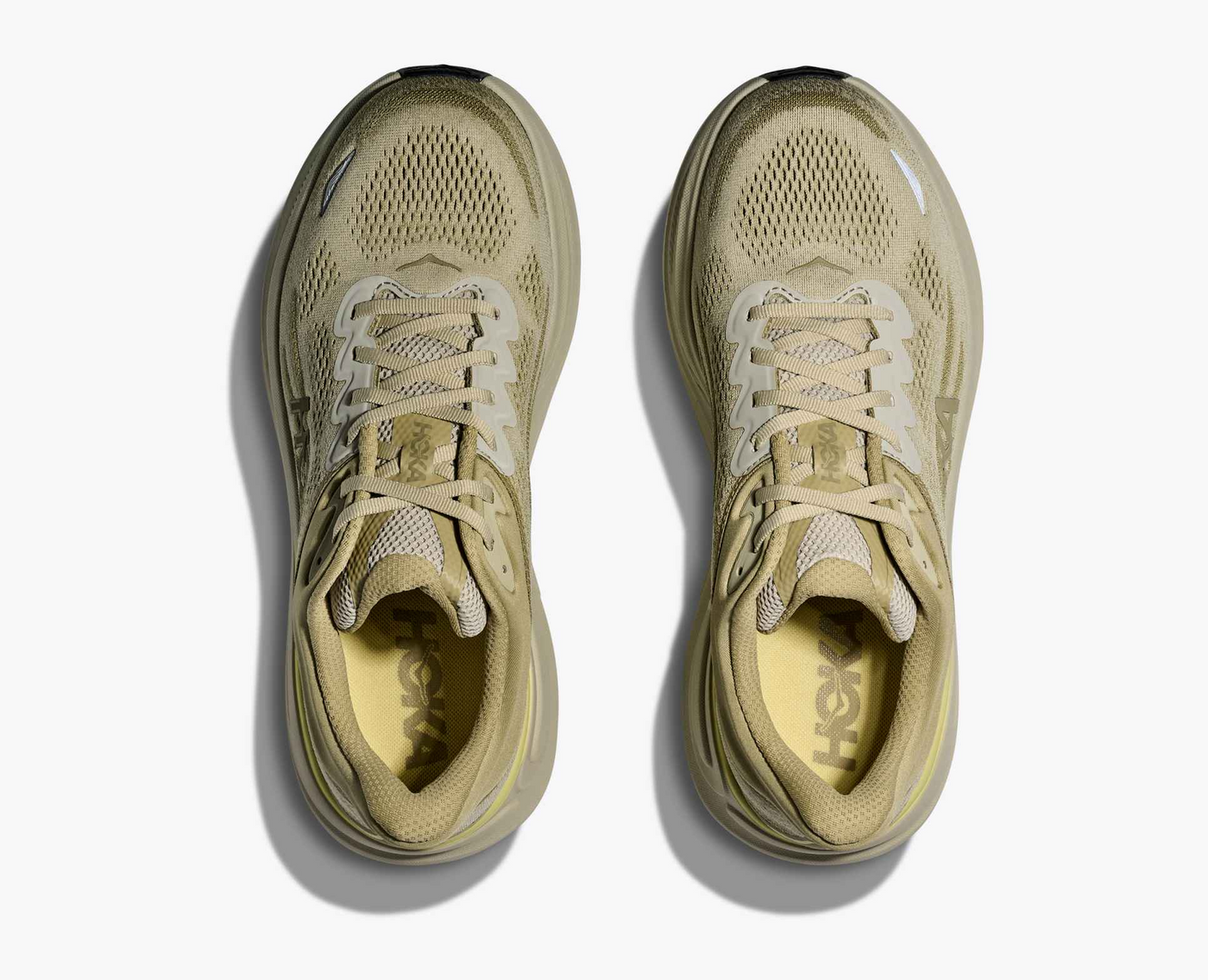 HKA Bondi 9 - Grassland/Oyster mushroom