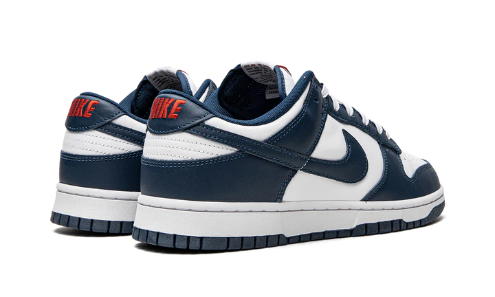 NK Dunk Low Valerian Blue
