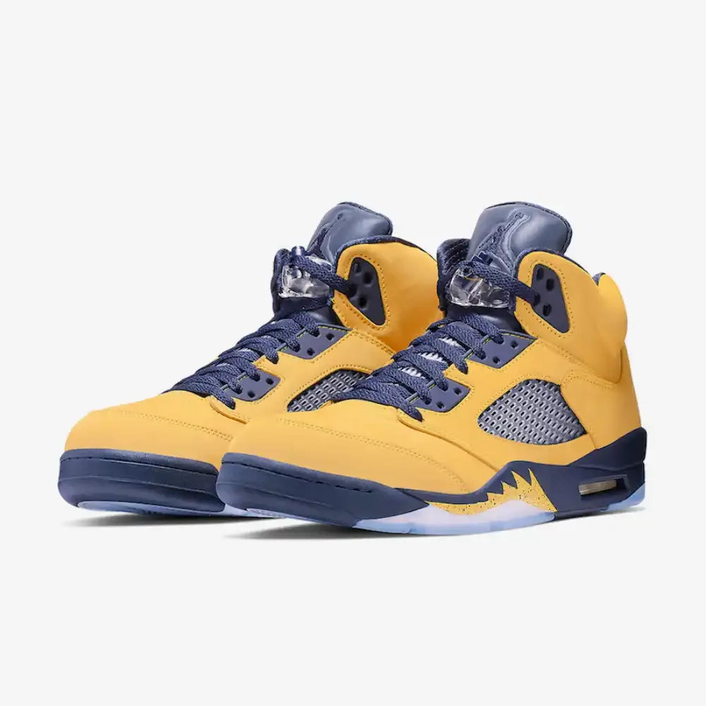 AJ 5 Michigan