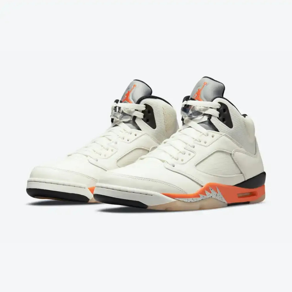 AJ 5 Shattered Backboard