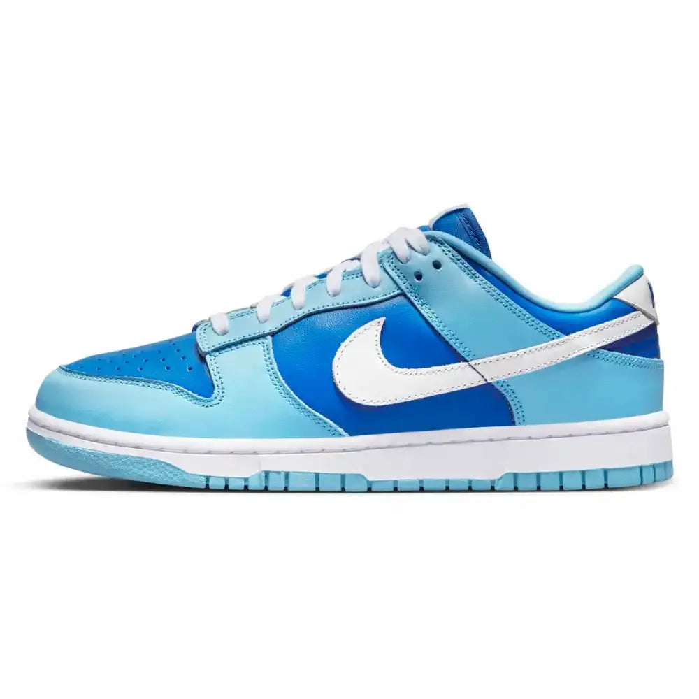 NK Dunk Low Retro Argon