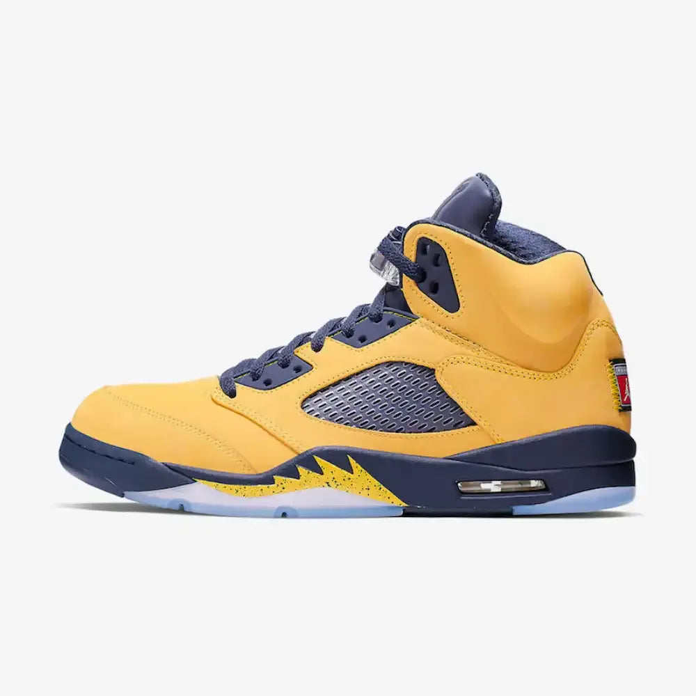 AJ 5 Michigan