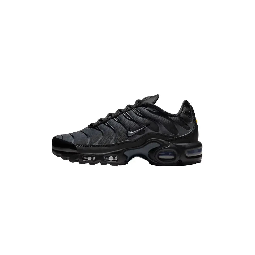NK Air Max Plus - Black Metallic/Silver
