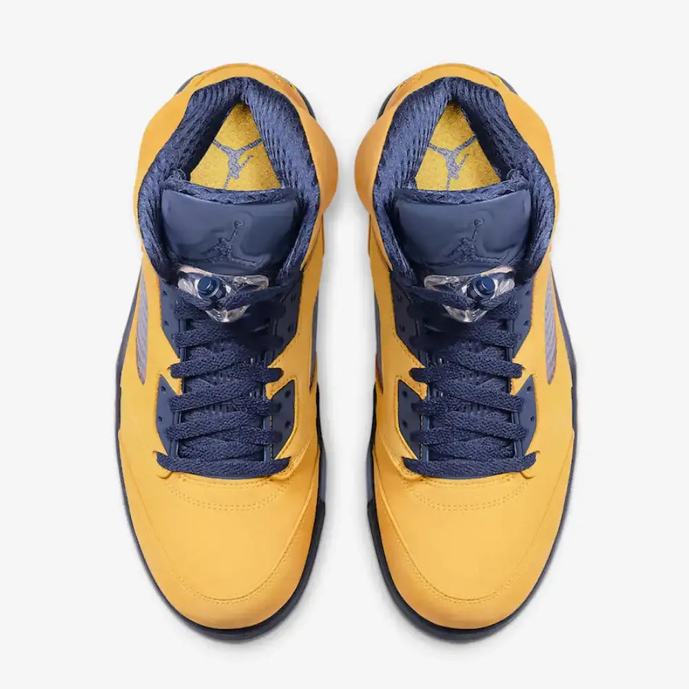 AJ 5 Michigan