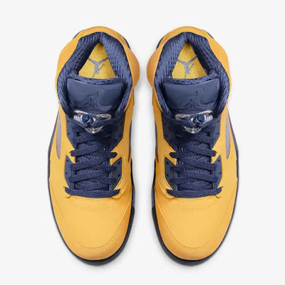 AJ 5 Michigan