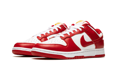 NK Dunk Low USC