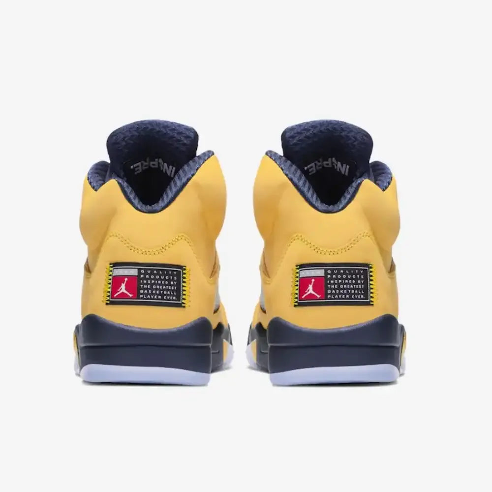 AJ 5 Michigan
