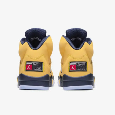 AJ 5 Michigan