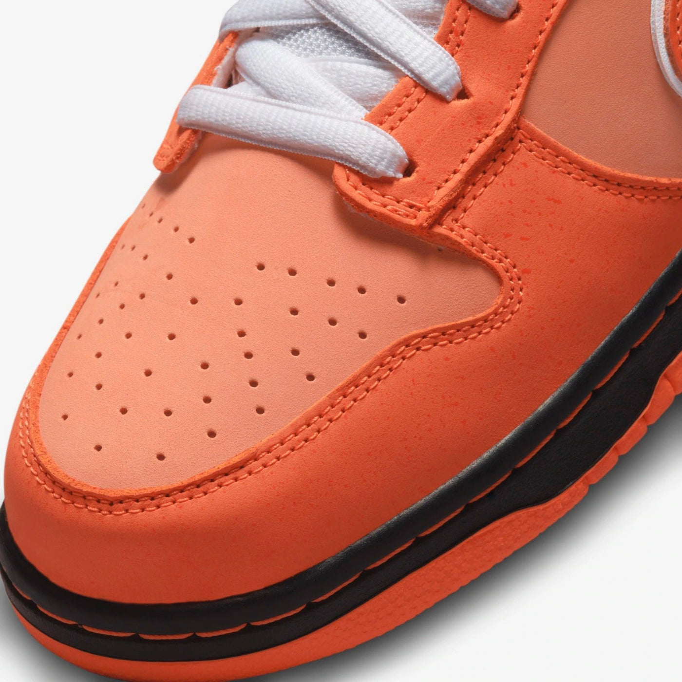 NK SB Dunk Concepts Orange Lobster